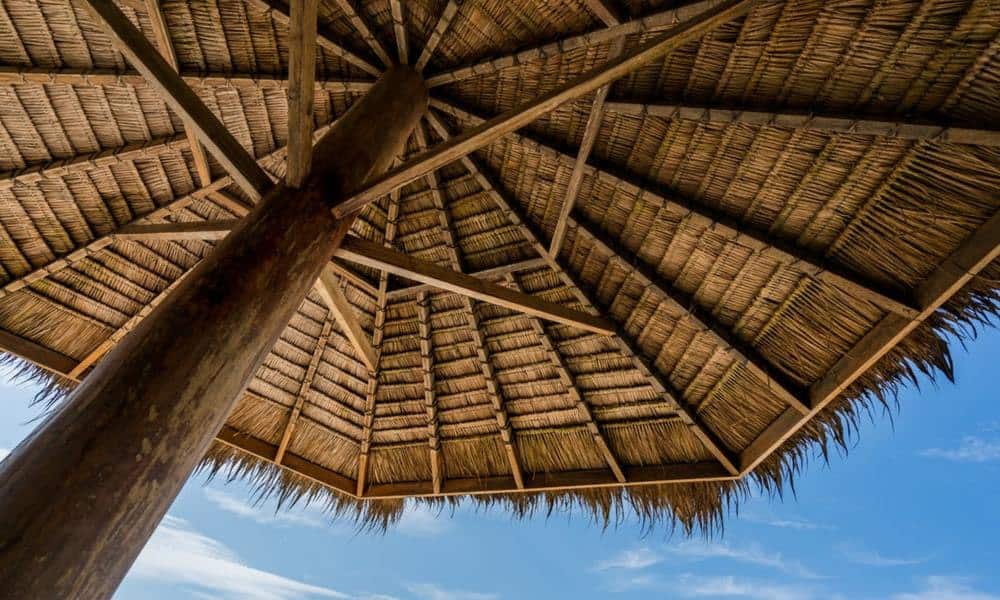 A umbrella providing shade on the beach