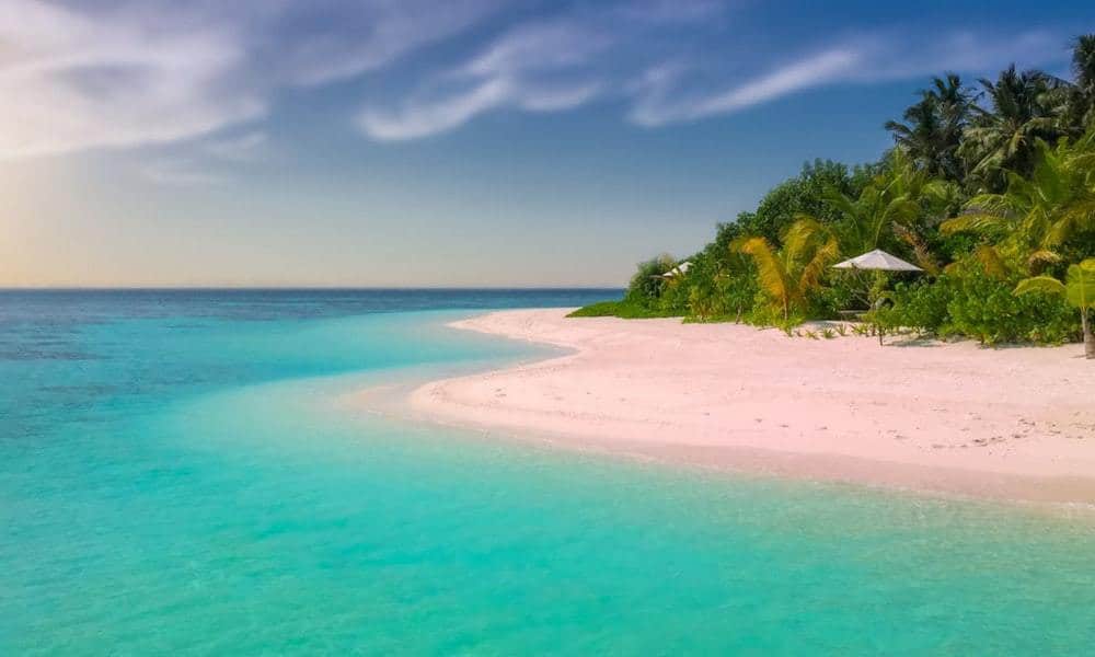 beach environment