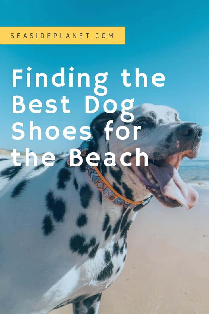 dog shoes for the beach