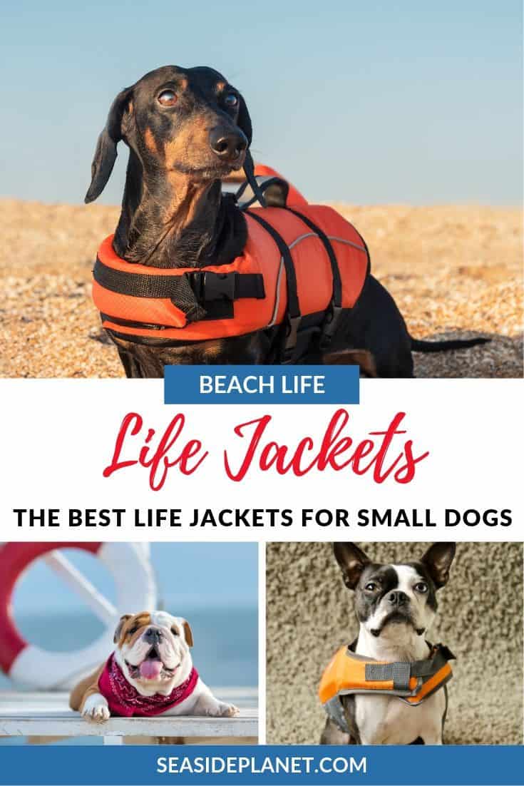 best life vest for small dogs