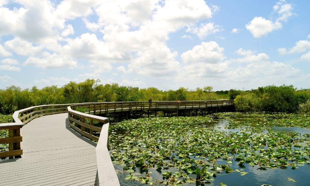 everglades national park