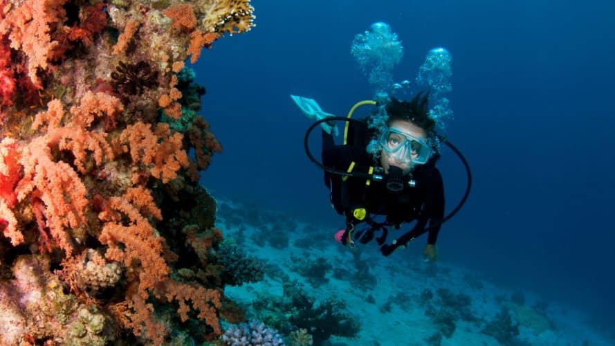 Best Scuba Mask Defogger for Your Next Dive 2022 Guide