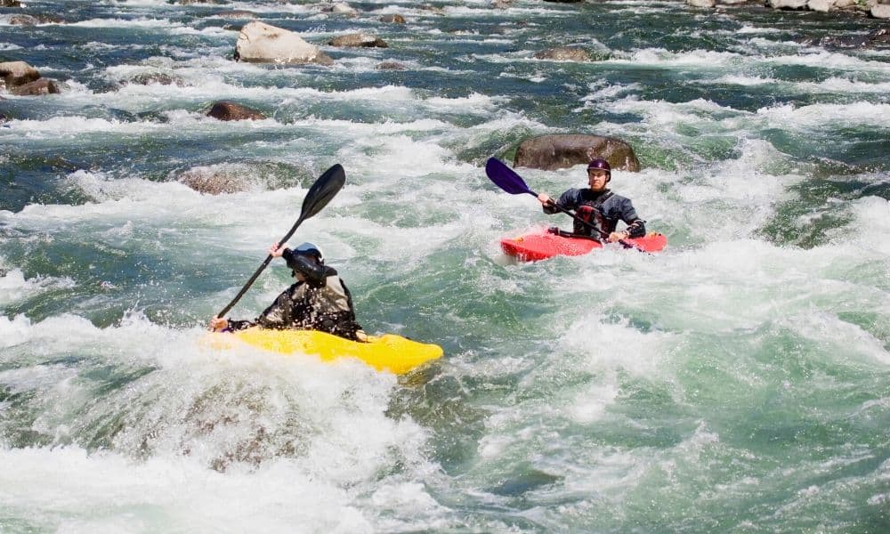 whitewater kayakers