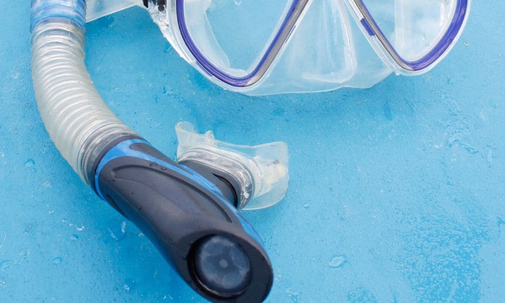 snorkel purge valve