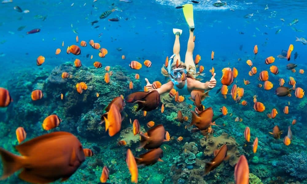 snorkeling in clear water