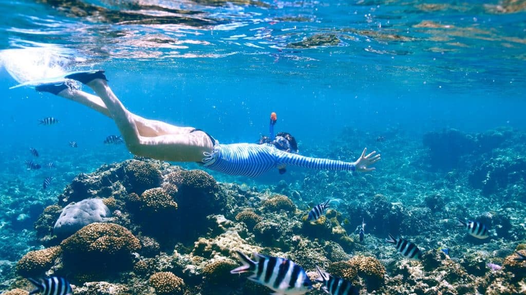 Best Snorkel Defogger at Betty Furr blog