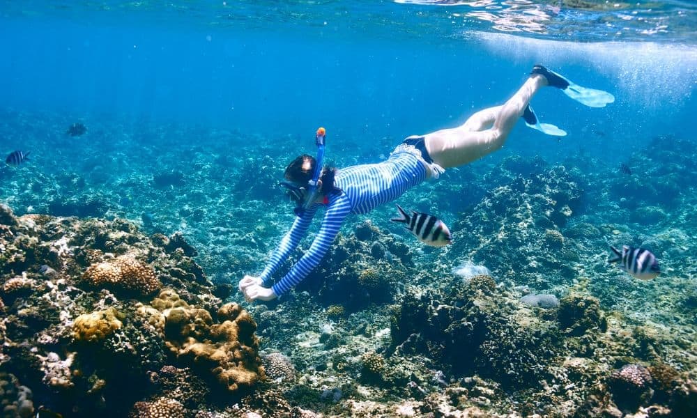 woman snorkeling near a coral reef
