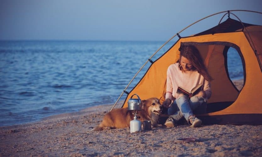 How to Take Your Dog Camping in 2022 Seaside