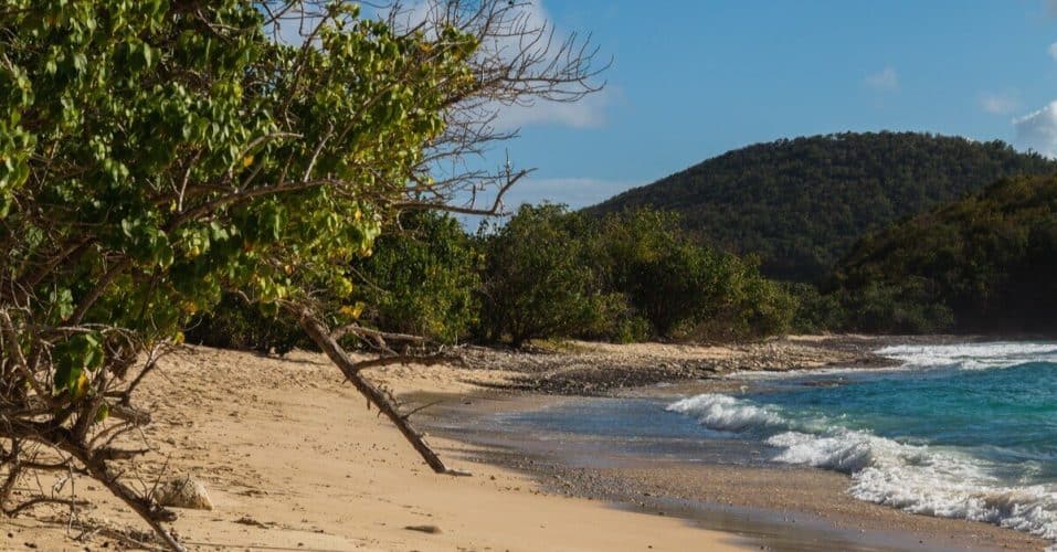 Carlos Rosario Beach